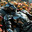 Sikher