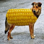 CornDoggo