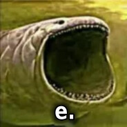 ebihalxd ky