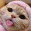 KittySlayer