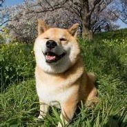 一尘不染美少年