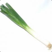 memleek
