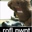 rofl.pwnt