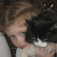 你为何带着杀意而至