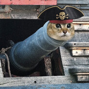 just kitten