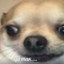 la_chasse_an_hibou's avatar