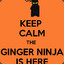 Ginga_ninja
