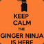 Ginga_ninge