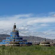 她和它总得上一个吧