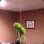 Kermit suicide