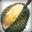Smelly Durian