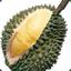 Smelly Durian