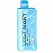 Winter Mint Lost Mary