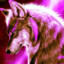 PURPLE wolf