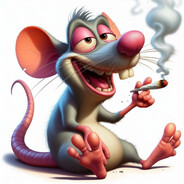 Come queso ◉⁠‿⁠◉