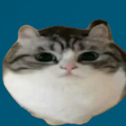 memerboi3's Avatar