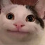 MrNat
