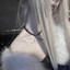 Avatar of player idontcareaboutsleep