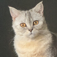 я проклят.. - steam id 76561198268884452