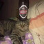 Syner