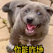 江南第一白给王子