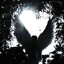 Avatar of player Sad((