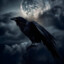 BlackBird