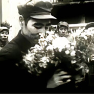 心有猛虎，细嗅蔷薇