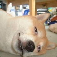 不听！不学！不会！不练！