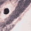 orbit