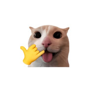 shemat1k3