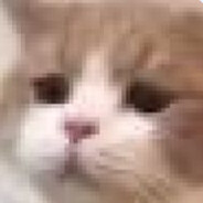 Kafka and the First Tram