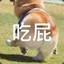 九亿少女得不到的梦