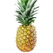 GenericPineapple