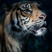 赵老师闯csgo
