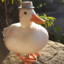 Duck_with_a_top_hat