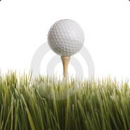 ®Gibson® 4 ®life®