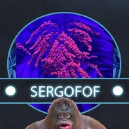 sergofof avatar