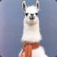 llama with a scarf