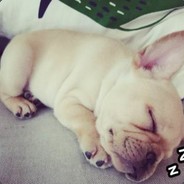 鸡你太美美美美