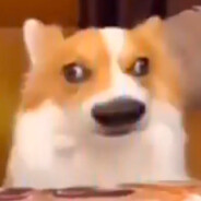 这种呆傻的孩子