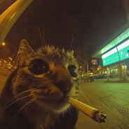 }{олодный Πонос