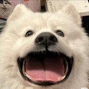 翻斗花园突破手壮壮妈