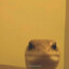 NikoTBC