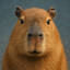 Capybara