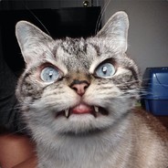 Prongon_skr