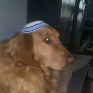 Goyim Cattle Slave No9969