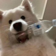 80岁男高勇闯女寝