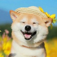 莫迦迦迦迦迦迦迦