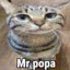 Popa